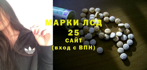 ПСИЛОЦИБИНОВЫЕ ГРИБЫ Баксан
