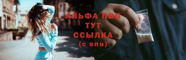 ПСИЛОЦИБИНОВЫЕ ГРИБЫ Баксан