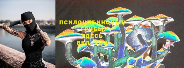 ПСИЛОЦИБИНОВЫЕ ГРИБЫ Баксан